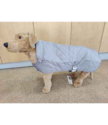 Display Dog In an XL Stone Jacket