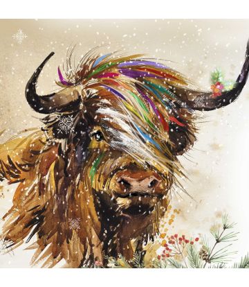 Proud Highland Cow...