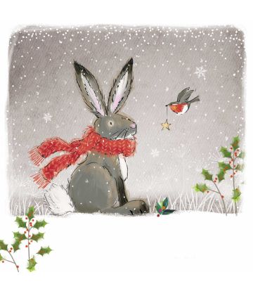 Hare and Robin Friend...
